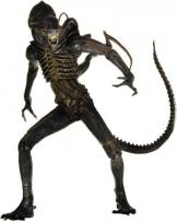 9 Inch Alien Warrior Figure by NECA.