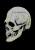 Nightowl Bone Skull Full Overhead Mask by Trick Or Treat Studios
