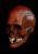 Nightowl Blood Skull Full Overhead Mask by Trick Or Treat Studios