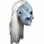 Game Of Thrones White Walker Full Overhead Mask by Trick Or Treat Studios