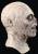 Lord Of The Pit Full Overhead Mask by Trick Or Treat Studios