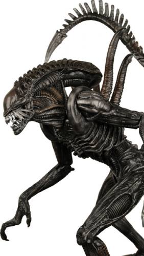 Alien vs Predator 2 Requiem Alien Warrior Figure by NECA.