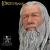 Lord Of The Rings Gandalf Mini Bust by Gentle Giant.