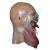 Bloodbag Full Overhead Adult Latex Mask  