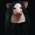 SAW - Pig Full Overhead Mask by Trick Or Treat Studios