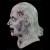 Evil Dead 2 - Henrietta Full Overhead Mask by Trick Or Treat Studios