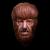 Lon Chaney Jr The Wolf Man Full Overhead Mask by Trick Or Treat Studios