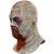Fulci Zombie - Boat Zombie Full Overhead Mask by Trick Or Treat Studios